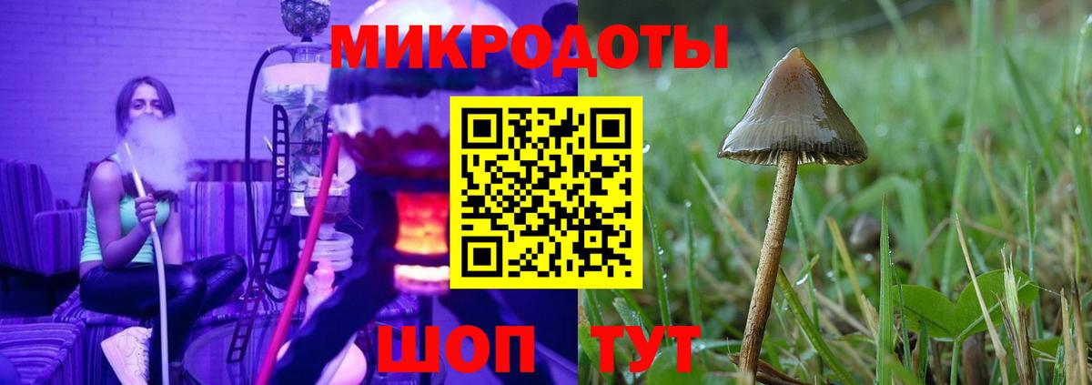 Кингисепп  Галлюциногенные грибы мицелий  Галлюциногенные грибы прущие грибы  Вход с VPN 